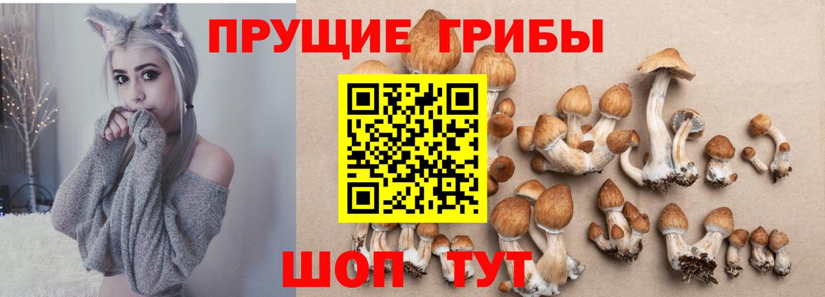 Магнитогорск  Псилоцибиновые грибы Magic Shrooms  наркотики  Вход с VPN  Псилоцибиновые грибы ЛСД 